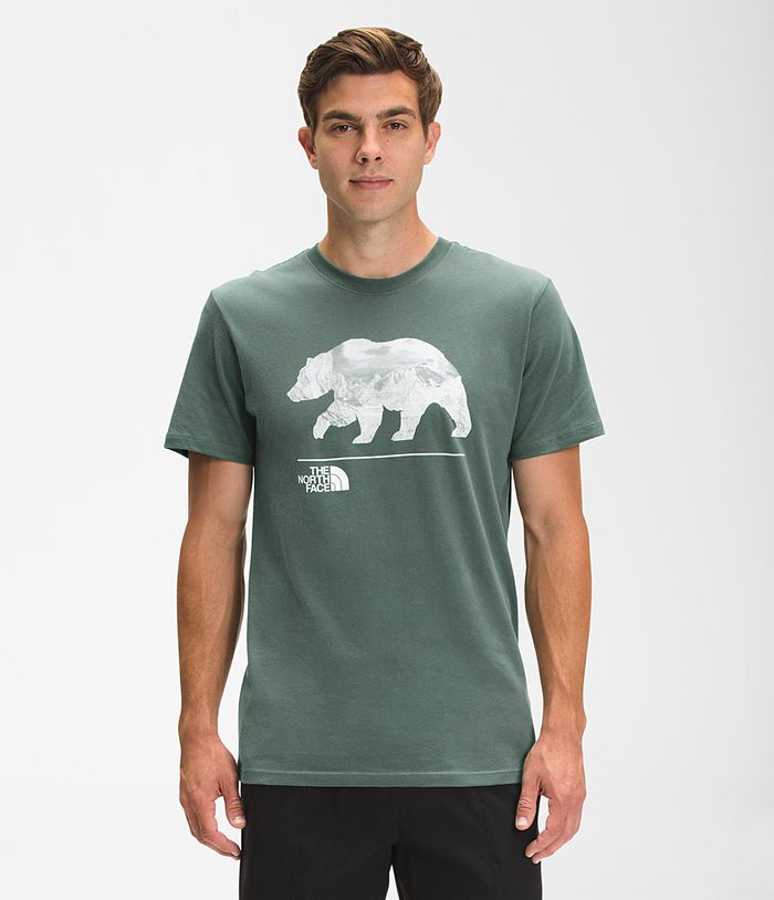 The North Face Mens T-Shirts Bearscape Short Sleeve 952RBGDZK - Green